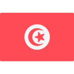 Tunisia World Cup 2026 squad